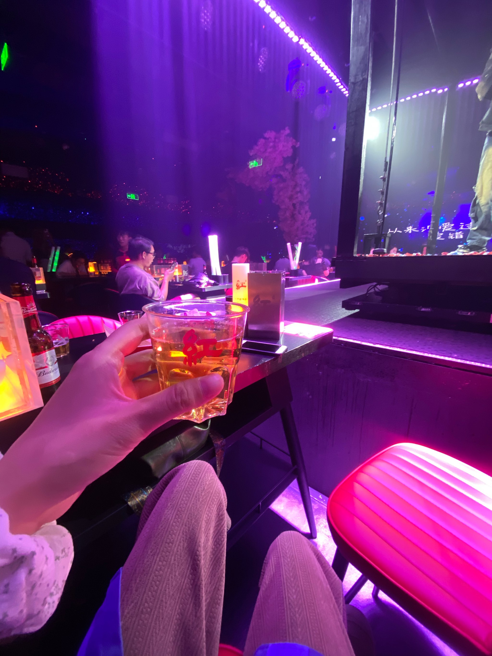 重庆商务ktv中低端区别解析-大渡口区ktv预订